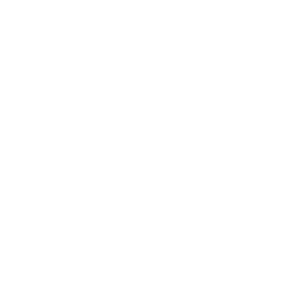 Pines Paraguay | Fabricación y Personalización de Pines Empresariales y Promocionales en Paraguay